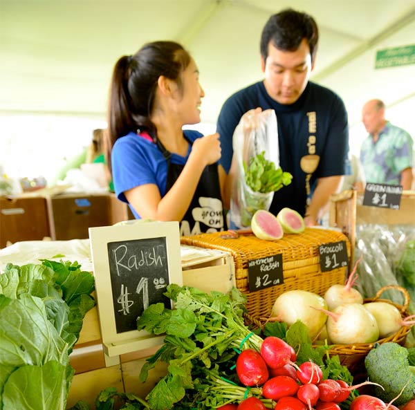 J. Shishido Farm Maui