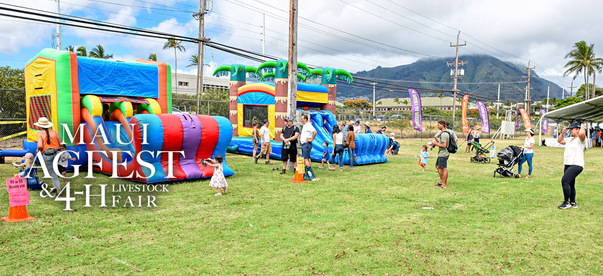 Maui AgFest & 4-H livestock fair