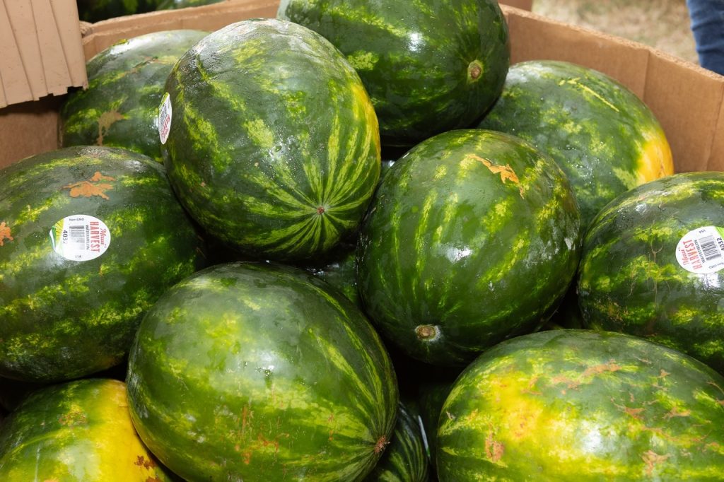 Maui AgFest & 4-H Livestock Fair 2025 boosts Ag awareness with record attendance