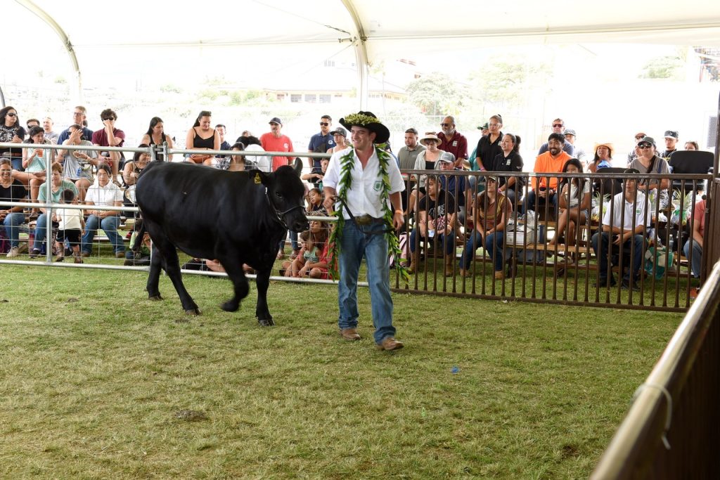 Maui AgFest & 4-H Livestock Fair 2025