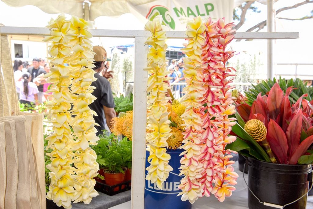 Maui AgFest & 4-H Livestock Fair 2025 boosts Ag awareness with record attendance