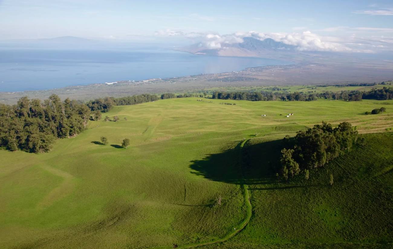 Axis Deer Mitigation Grant