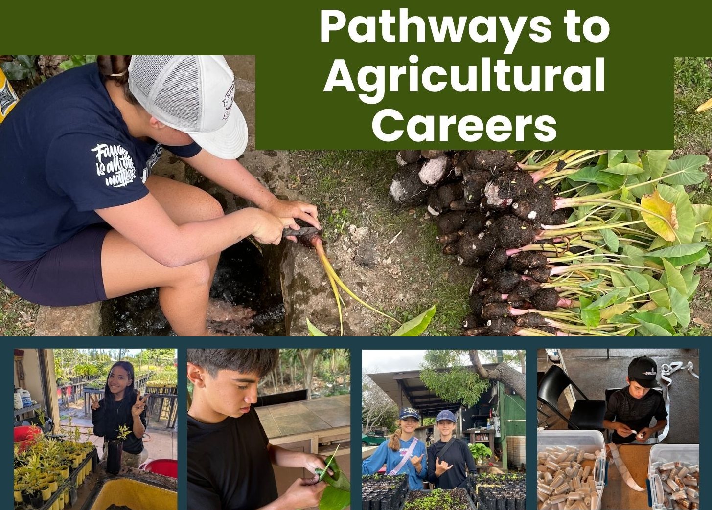 Fall 2026 Internship opportunities are available through STEMworks